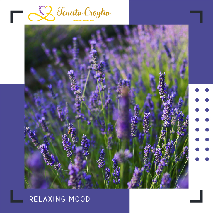 TENUTA CROGLIA 6 POST-02