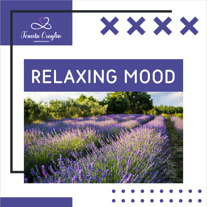 TENUTA CROGLIA 6 POST-03