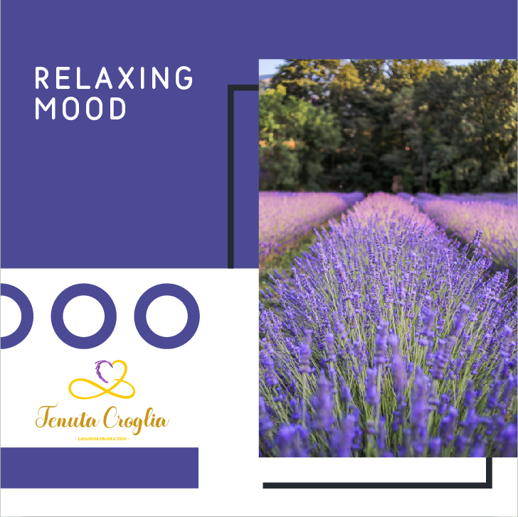 TENUTA CROGLIA 6 POST-04