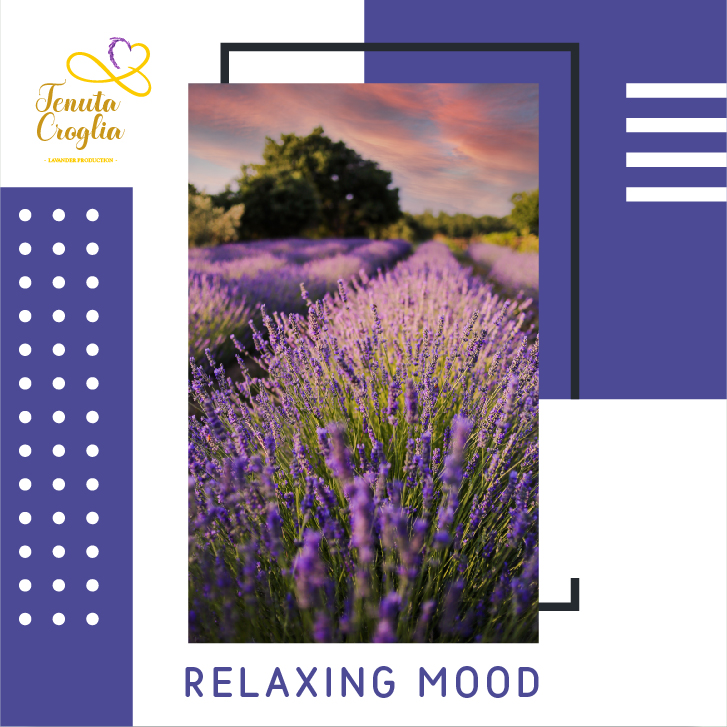 TENUTA CROGLIA 6 POST-05