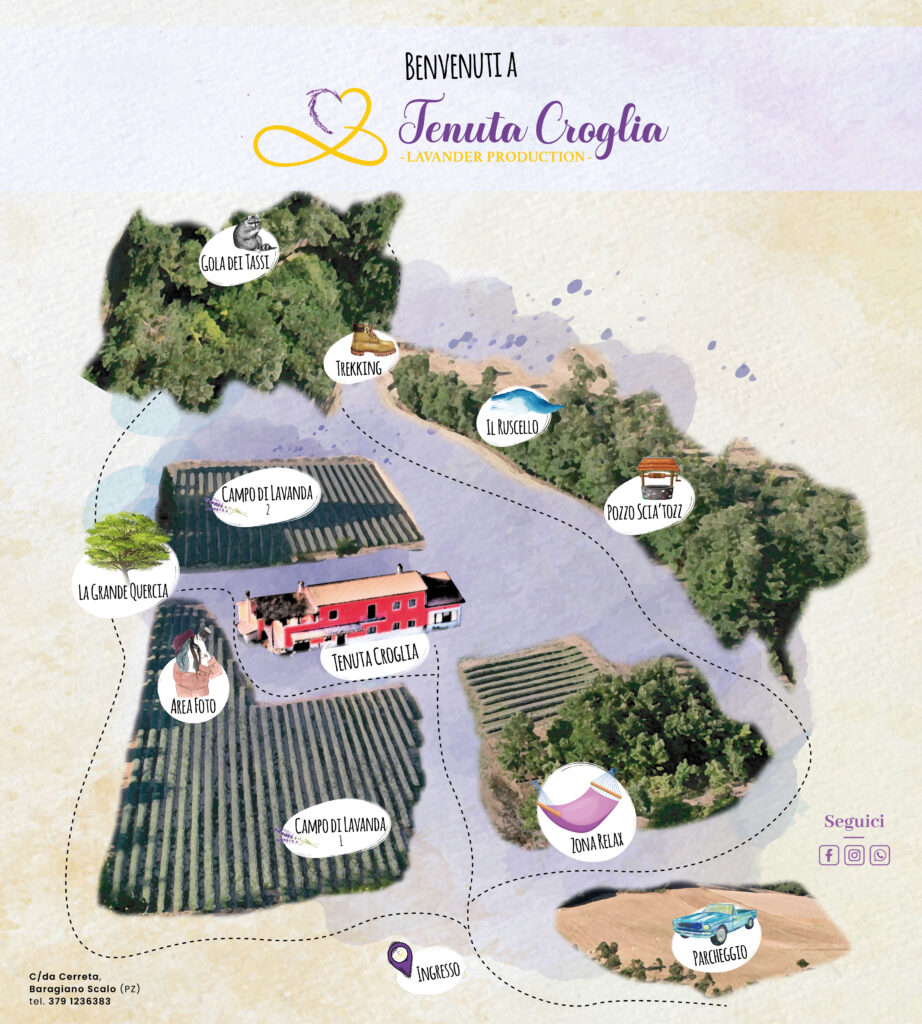 cartellone ingresso tenuta_Tavola disegno 1