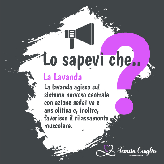 lo sapevi che.. tenuta croglia-03